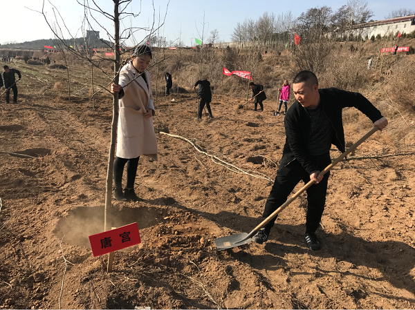 微信截图_20190312181715.png