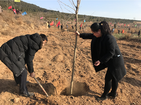 微信截图_20190312181643.png