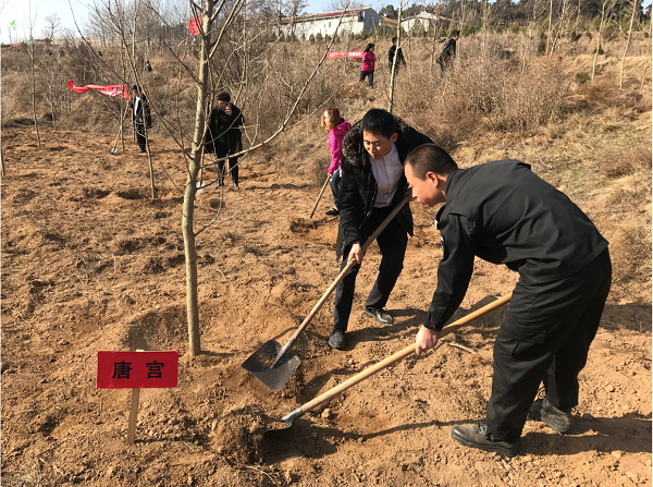 微信截图_20190312181807.png